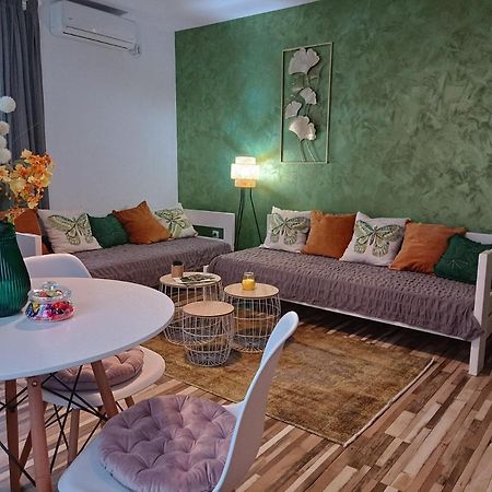 Holiday Home Ostrun 拉科维察 外观 照片