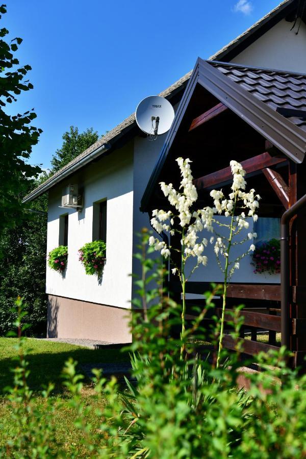 Holiday Home Ostrun 拉科维察 外观 照片