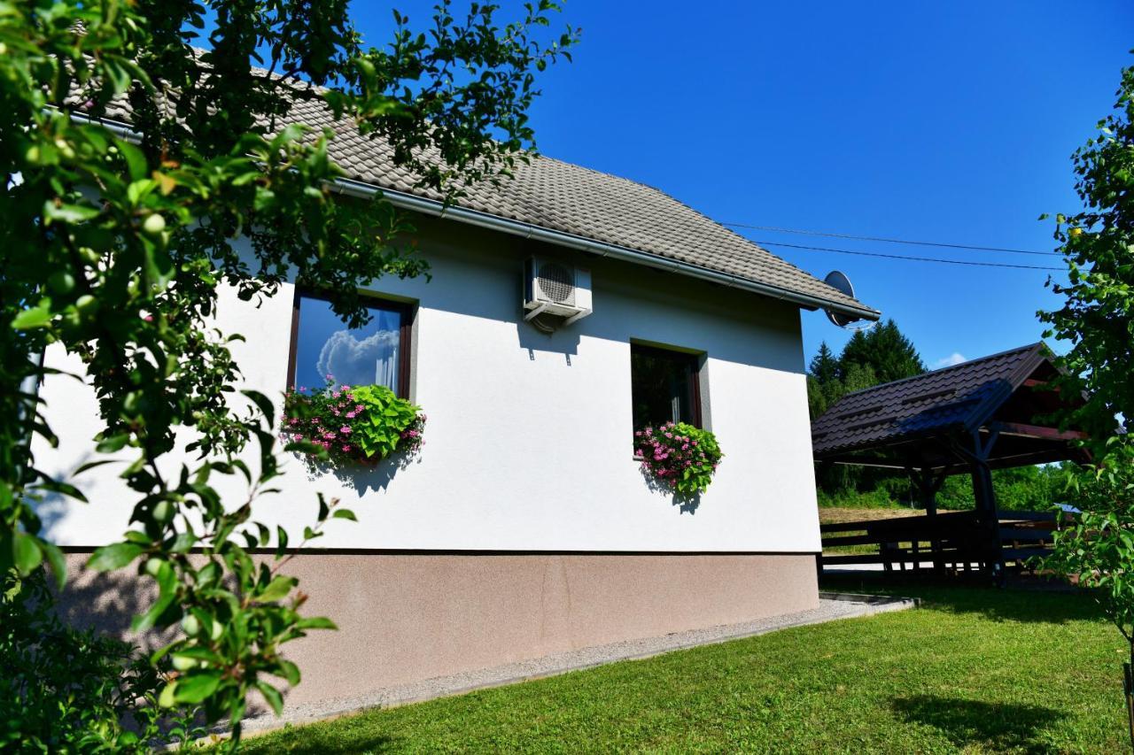 Holiday Home Ostrun 拉科维察 外观 照片